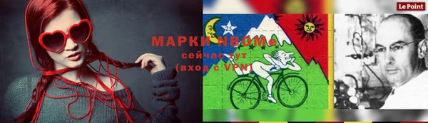 шишки Балахна