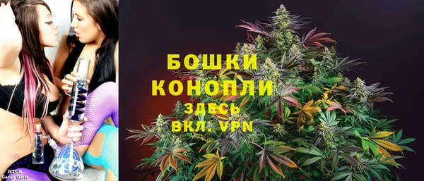 шишки Балахна