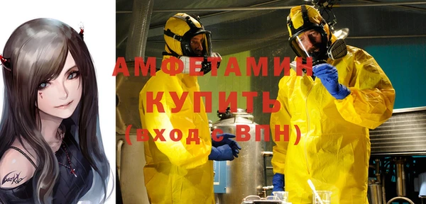 шишки Балахна
